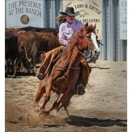 Fototapetai Moteris sėdi ant žirgo